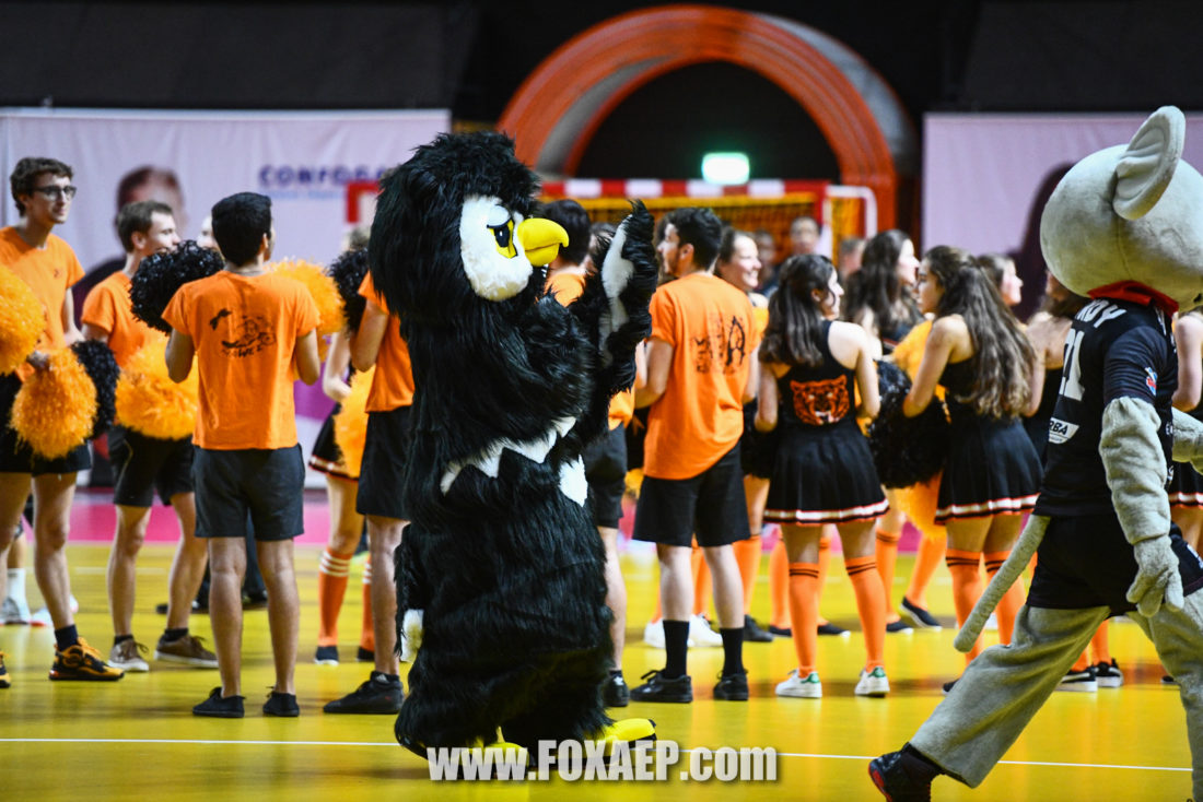 08-02-20- – JDA HAND VS BESANCON — FOXAEP, photographe Bourgogne