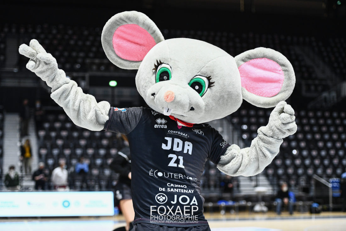 JDA DIJON HANDBALL VS ST AMAND — FOXAEP, photographe Bourgogne