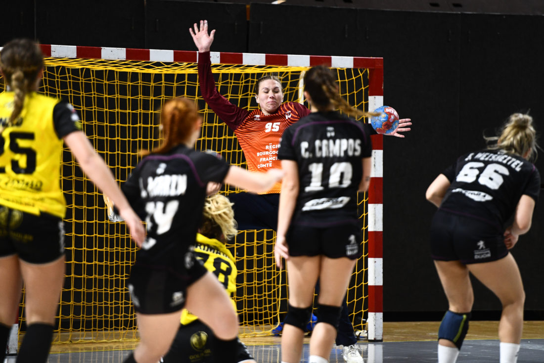 JDA DIJON HANDBALL vs PLAN-DE-CUQUES — FOXAEP, photographe Bourgogne