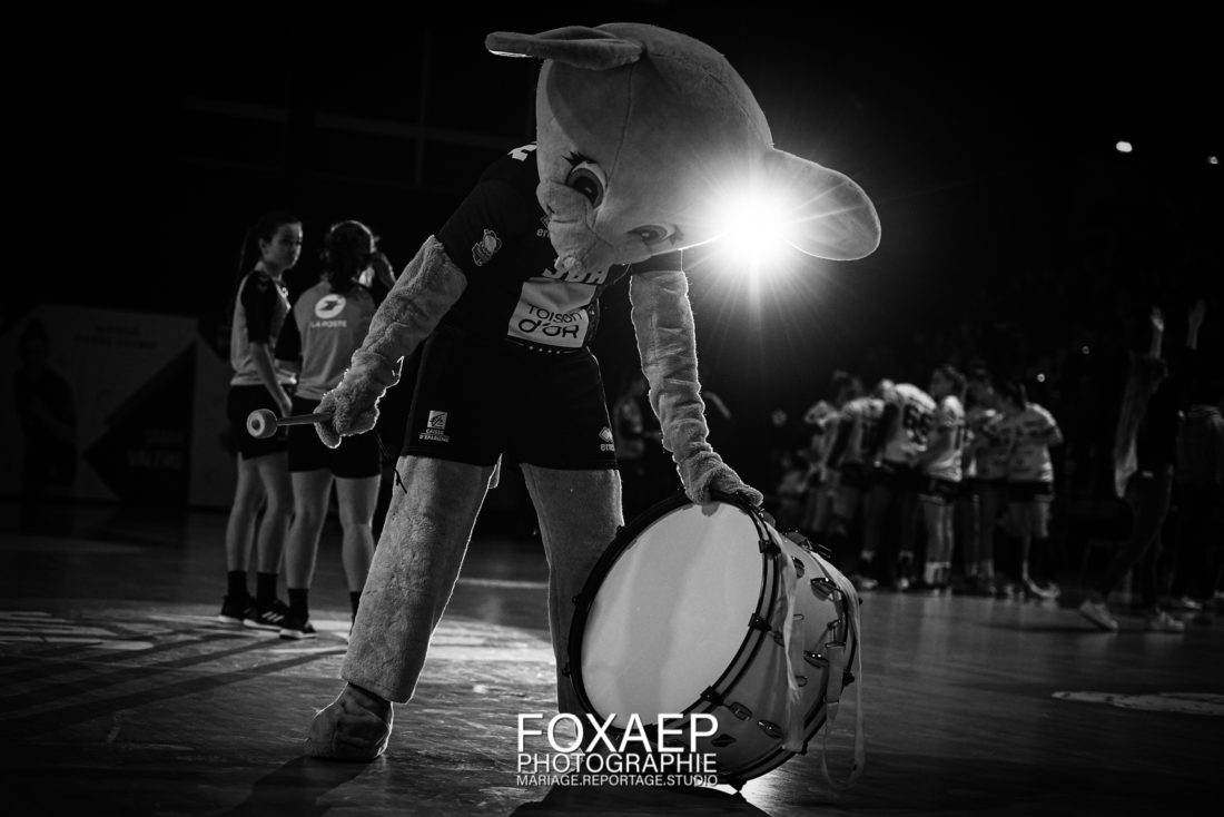JDA HANDBALL VS PLAN DE CUQUES -17-11-21 — FOXAEP, photographe Bourgogne