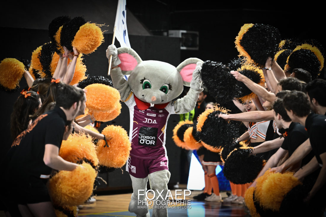 JDA HANDBALL VS MERIGNAC- 07-12-22 — FOXAEP, photographe Bourgogne