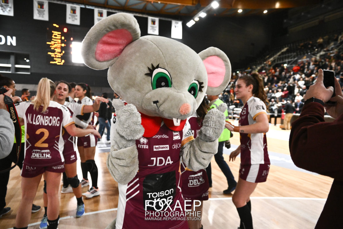 JDA HANDBALL VS SAINT AMAND- 02-12-22 — FOXAEP, photographe Bourgogne