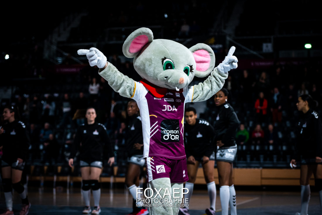 JDA HANDBALL VS OGC NICE- 17-02-23 — FOXAEP, photographe Bourgogne