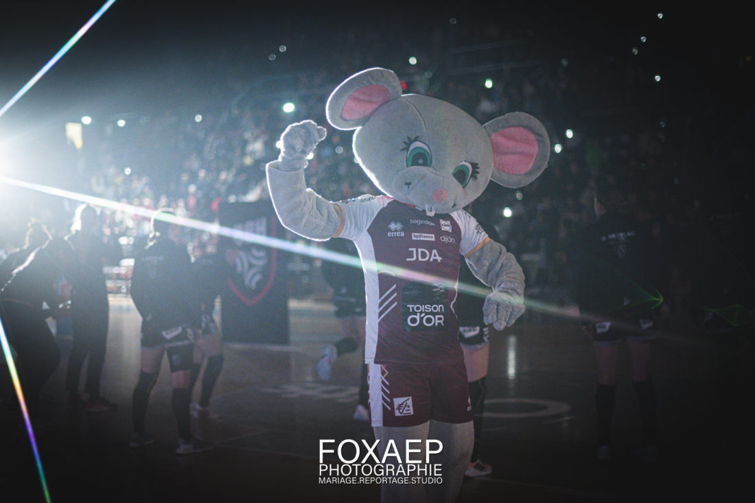 JDA HANDBALL VS BREST HB- 24-02-23 — FOXAEP, photographe Bourgogne
