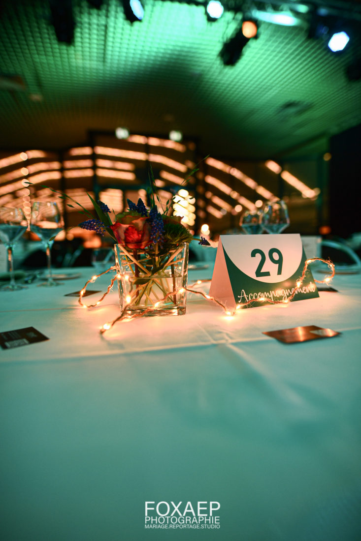 Dîner de Charité du Centre Georges-François Leclerc — FOXAEP, photographe Bourgogne