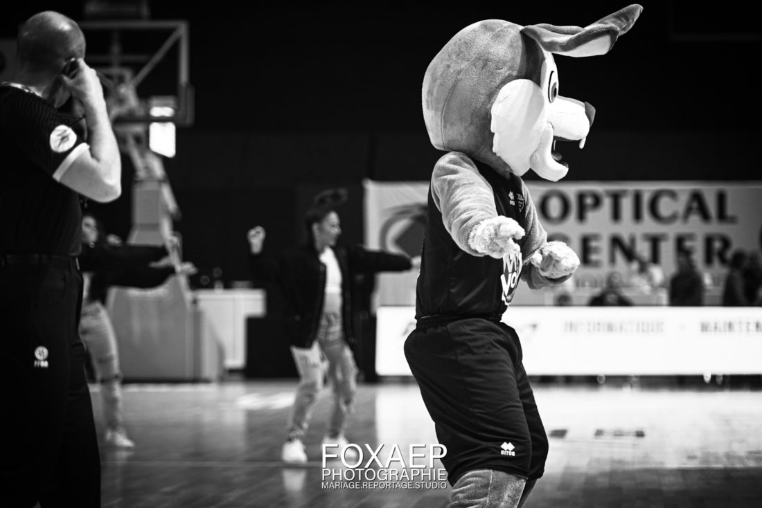 JDA BASKET VS CHOLET- 08-04-23 — FOXAEP, photographe Bourgogne
