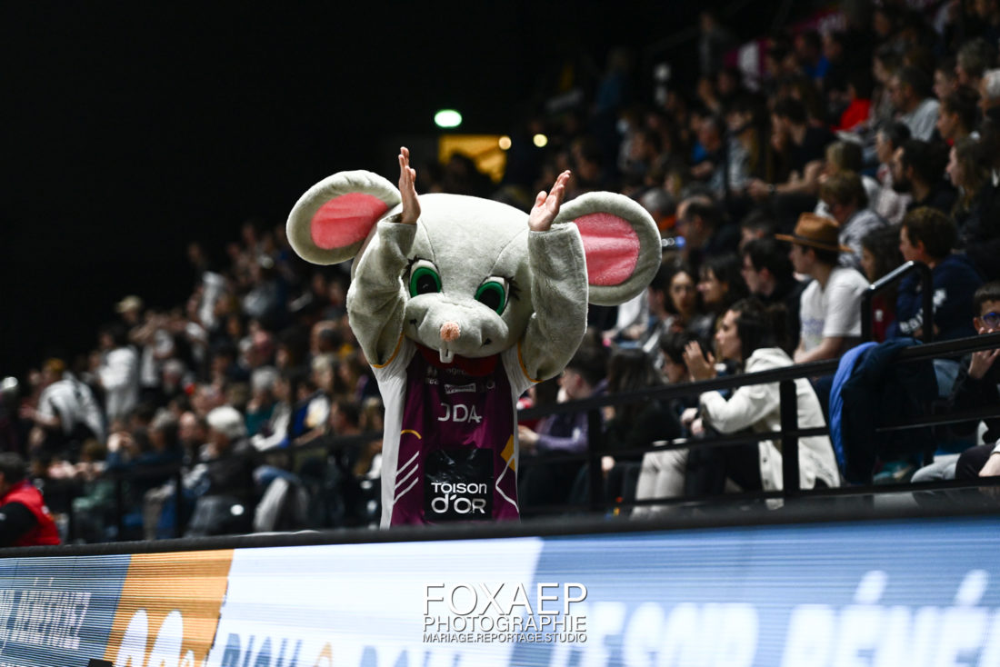 JDA HANDBALL VS TOULON 19-04-23 — FOXAEP, photographe Bourgogne