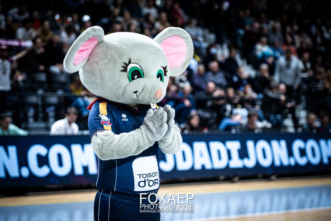 JDA HANDBALL VS BREST 15-11-23 — FOXAEP, photographe Bourgogne
