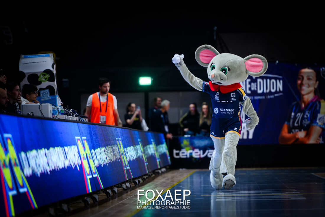 JDA HANDBALL vs TOULON 12-11-24 — FOXAEP, photographe Bourgogne