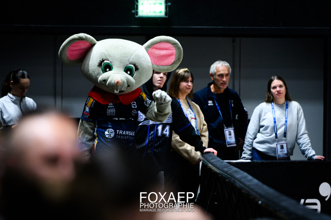 JDA HANDBALL vs TOULON 12-11-24 — FOXAEP, photographe Bourgogne
