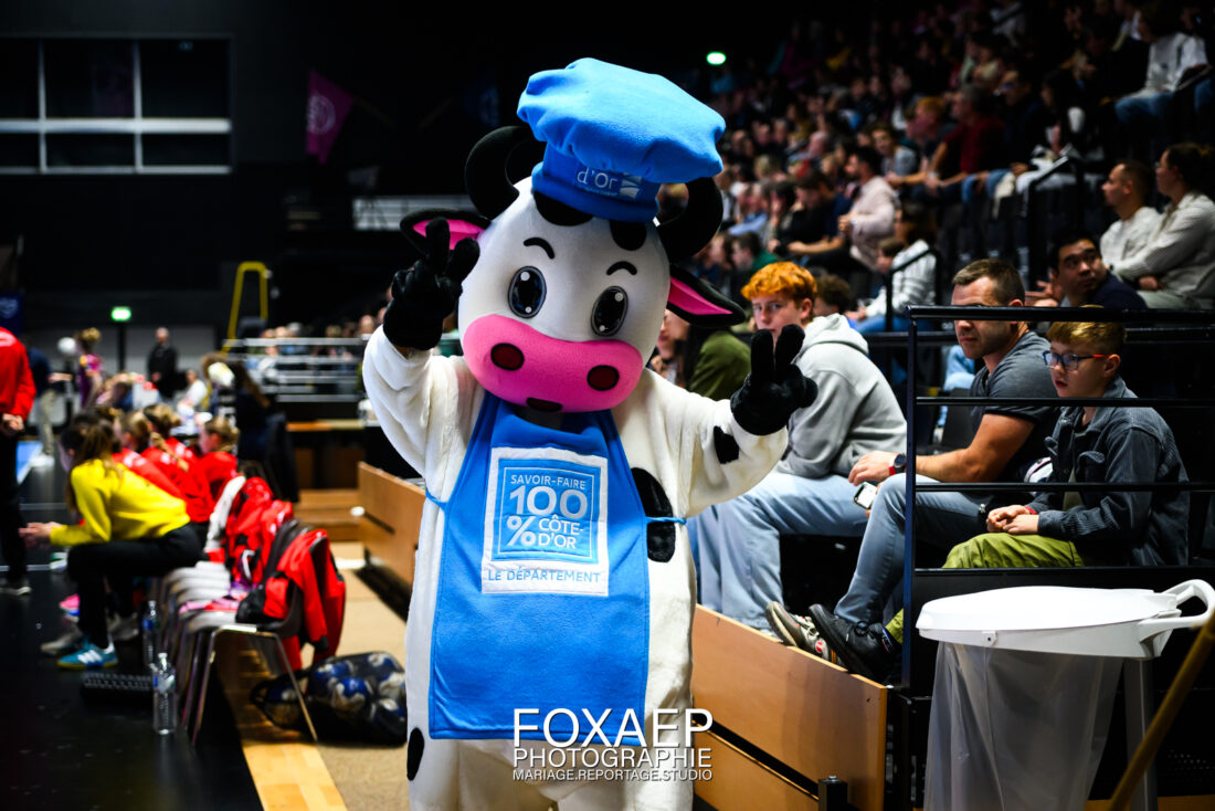 JDA HANDBALL vs ZRINSKI 09-11-24 — FOXAEP, photographe Bourgogne